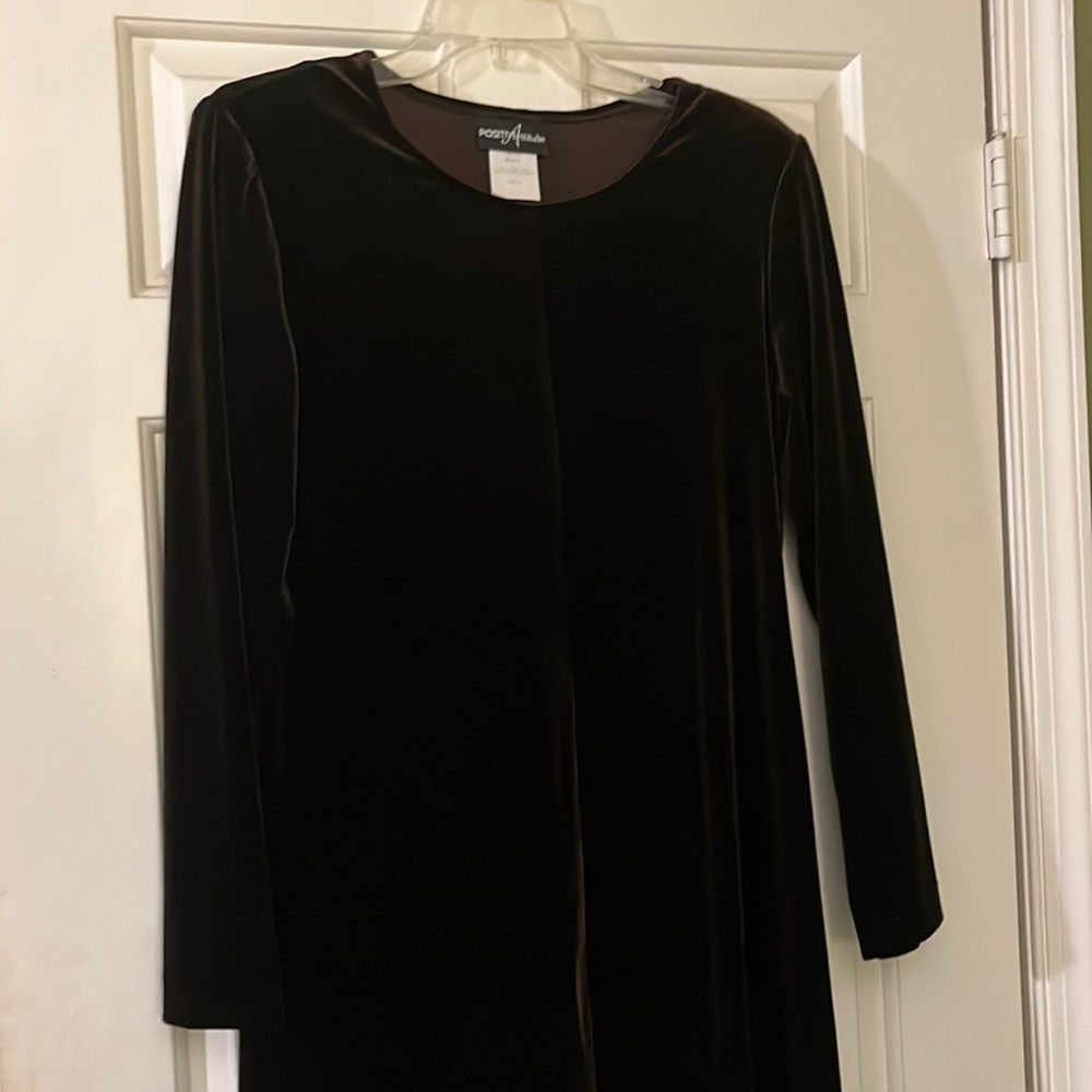 Brown Long sleeve velour dress. Very comfortable!!  Size 12
